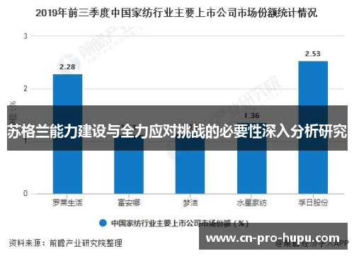 苏格兰能力建设与全力应对挑战的必要性深入分析研究