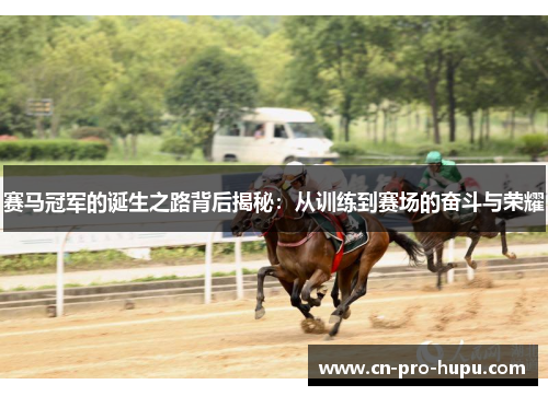 赛马冠军的诞生之路背后揭秘：从训练到赛场的奋斗与荣耀