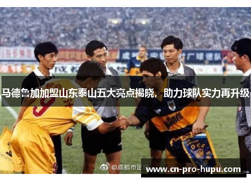 马德鲁加加盟山东泰山五大亮点揭晓，助力球队实力再升级