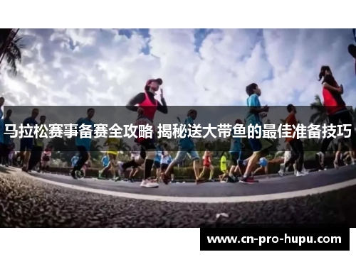 马拉松赛事备赛全攻略 揭秘送大带鱼的最佳准备技巧
